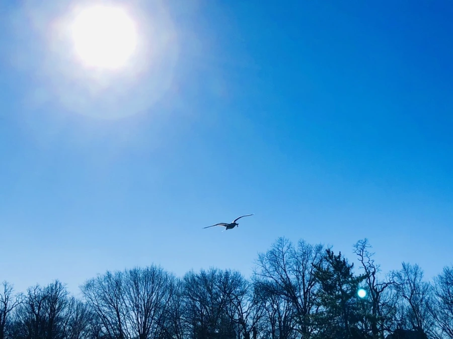 IMG_8043.jpg?type=w966