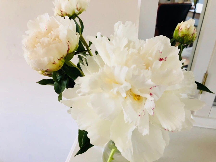 IMG_6298.jpg?type=w966