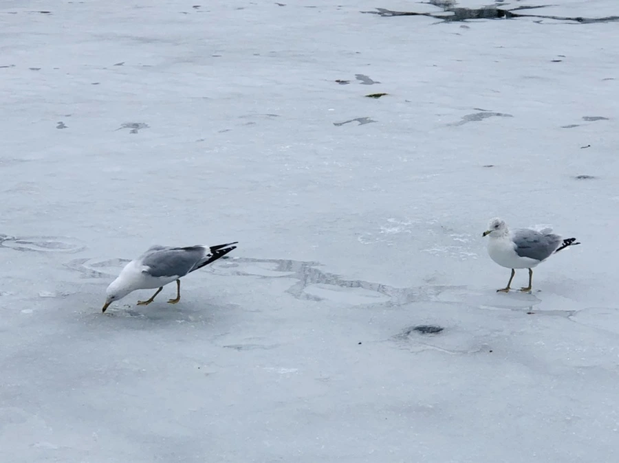 IMG_6320.jpg?type=w966