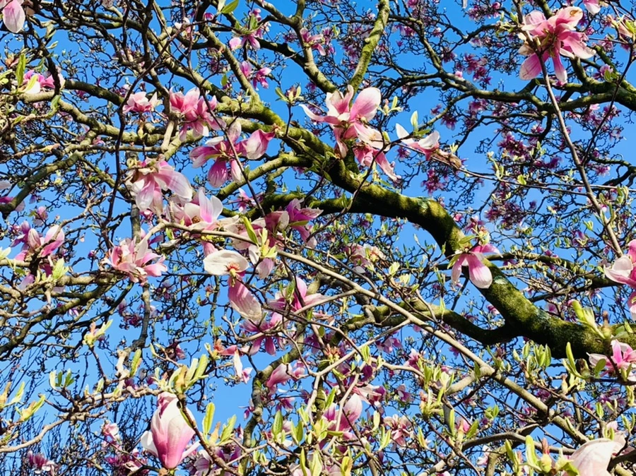 IMG_2685.jpg?type=w966