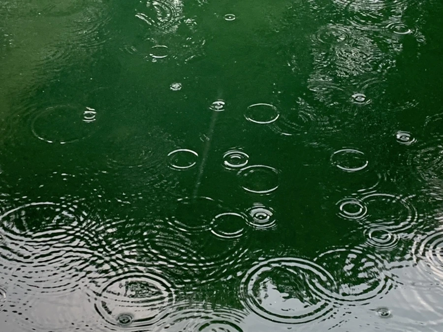 IMG_1719.jpg?type=w966