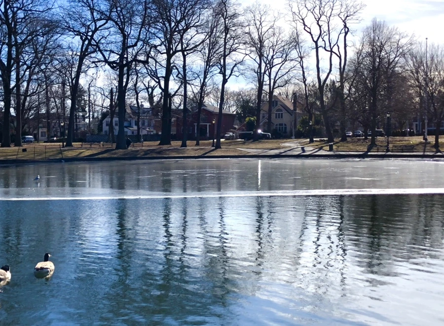 IMG_5440.jpg?type=w966