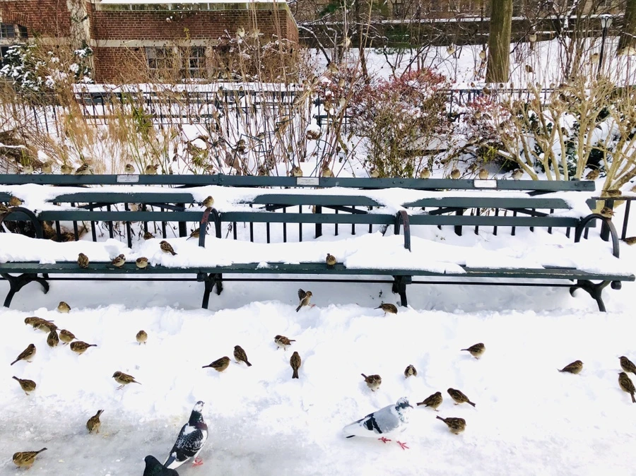 IMG_7250.jpg?type=w966