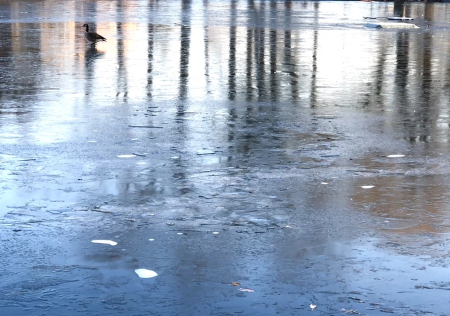 IMG_2231.jpg?type=w966