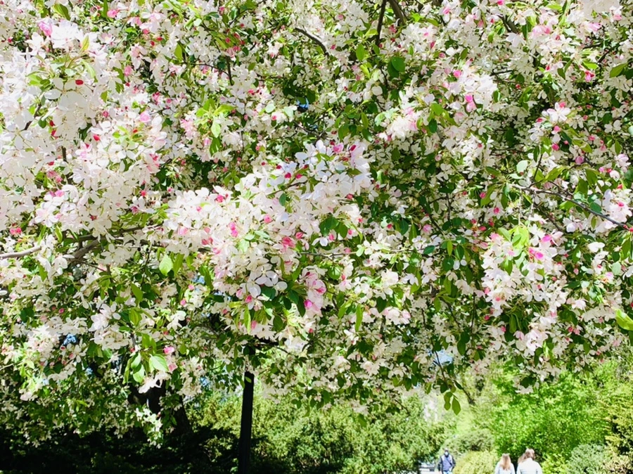 IMG_5730.jpg?type=w966