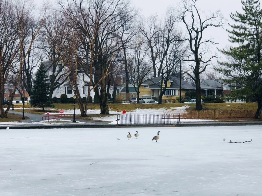 IMG_5637.jpg?type=w966