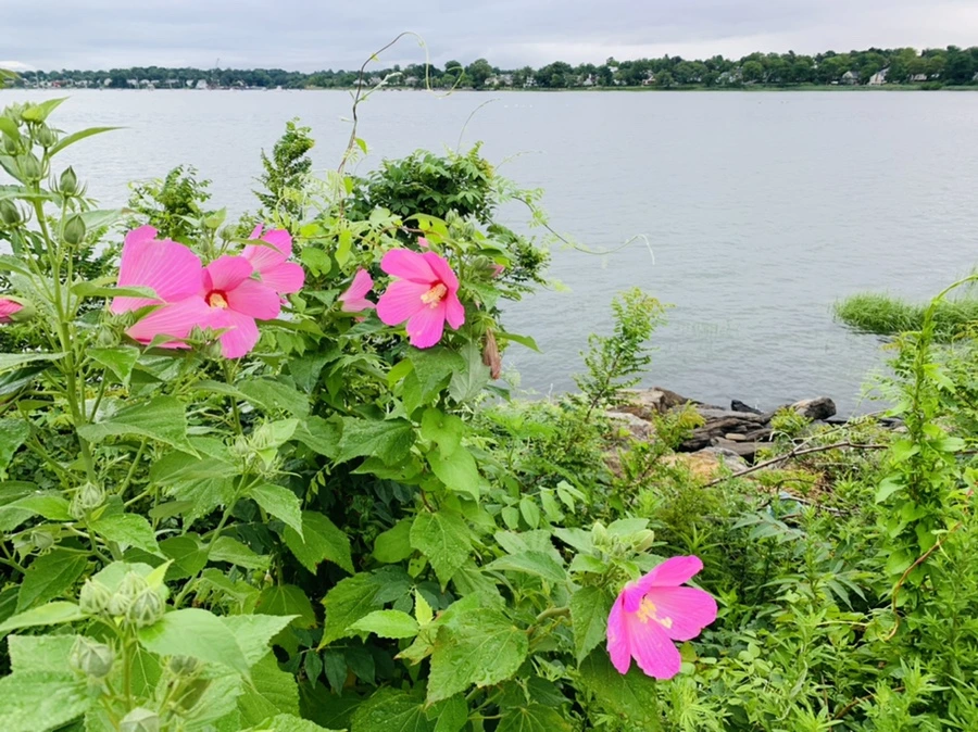 IMG_7753.jpg?type=w966