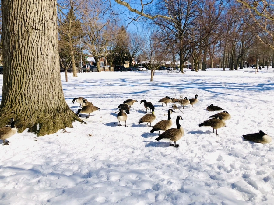 IMG_3984.jpg?type=w966