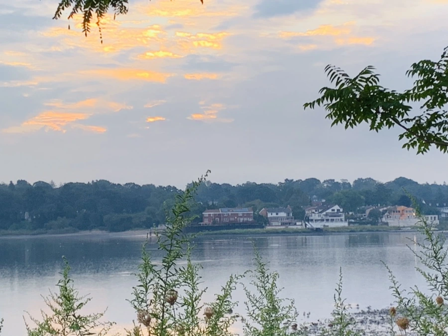 IMG_8213.jpg?type=w966