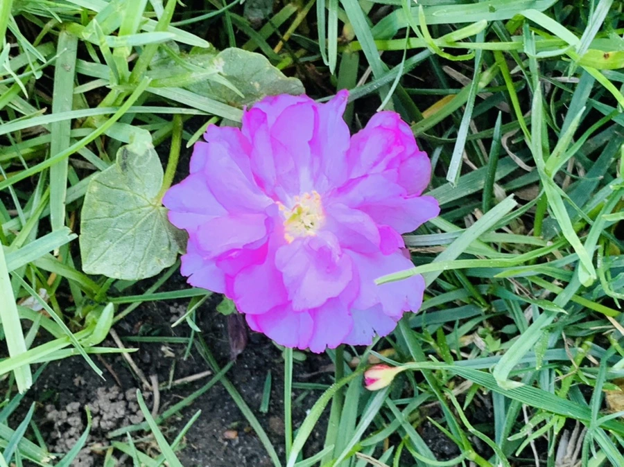 IMG_4088.jpg?type=w966