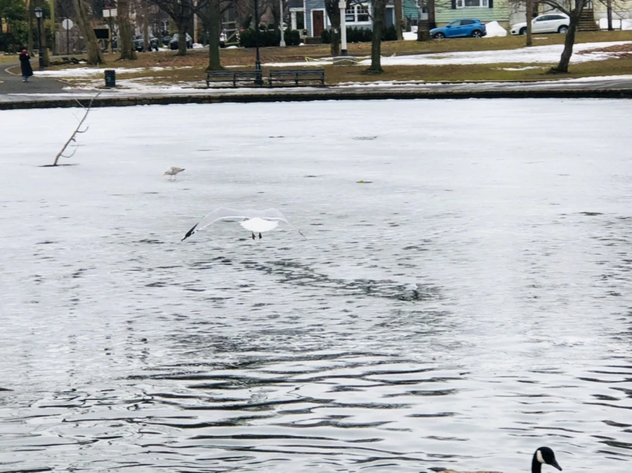 IMG_5896.jpg?type=w966