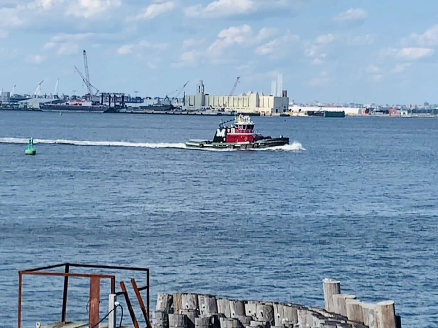 IMG_8348.jpg?type=w966