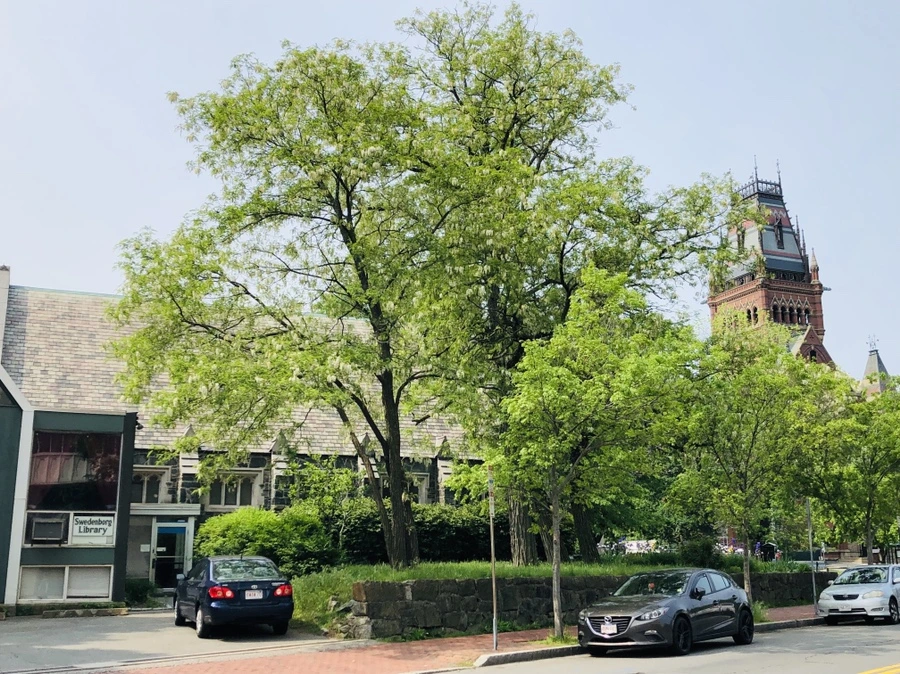 IMG_5435.jpg?type=w966