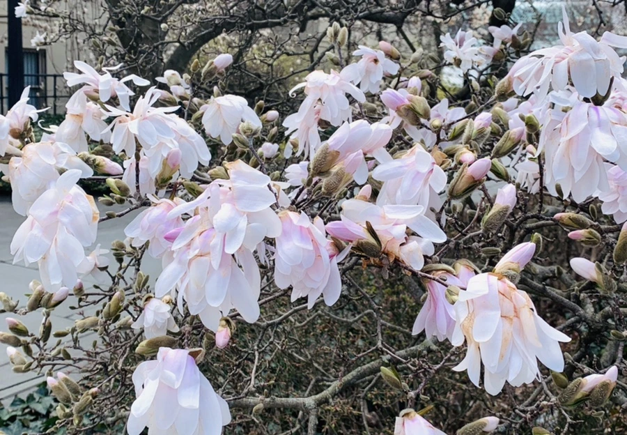 IMG_6513.jpg?type=w966