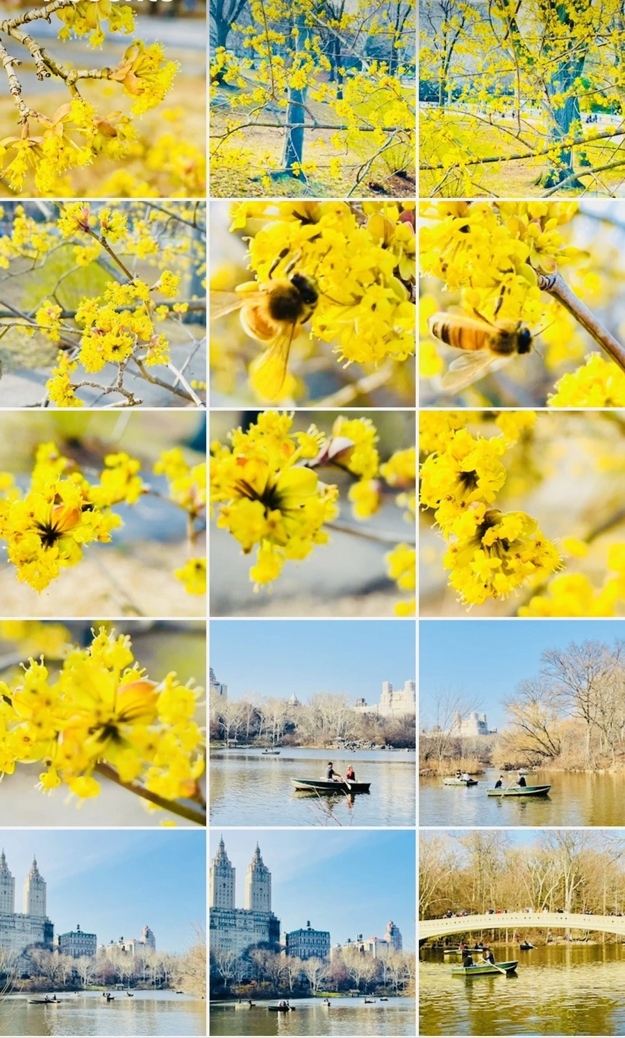 loUtqDcb90PVuKkUgJysECMLtR0