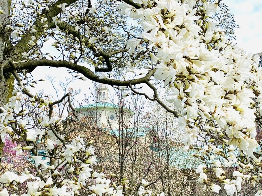 IMG_7258.jpg?type=w966