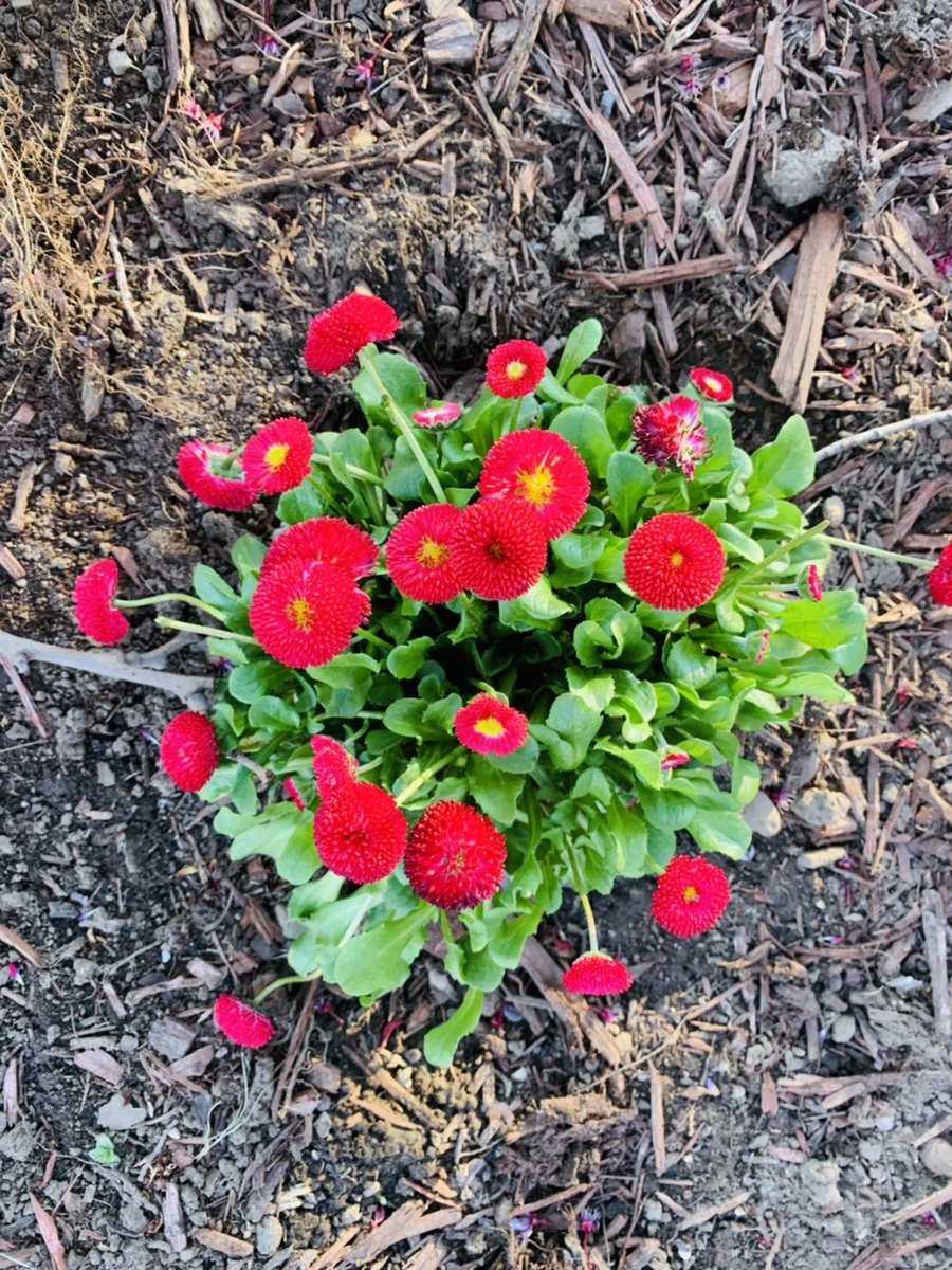 IMG_4065.jpg?type=w966