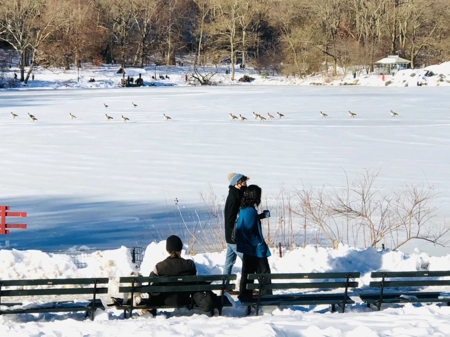 IMG_9829.jpg?type=w966