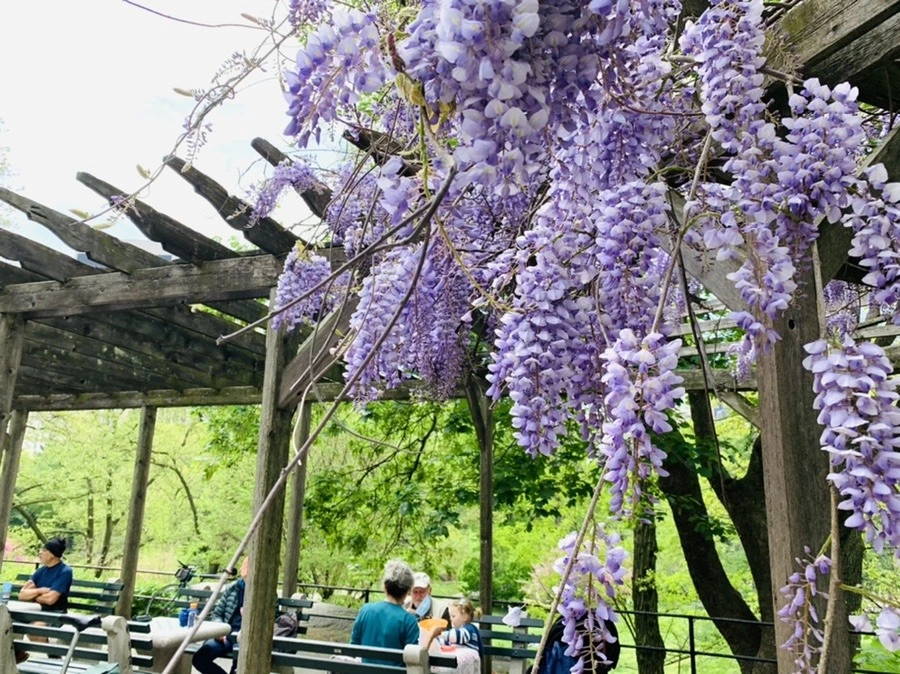 gAnmcV_jt6lNlhWPRPMdZCqUo-w