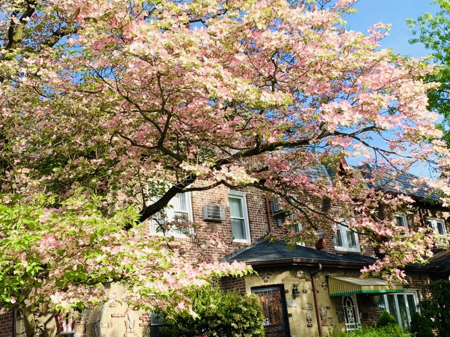 IMG_1076.jpg?type=w966