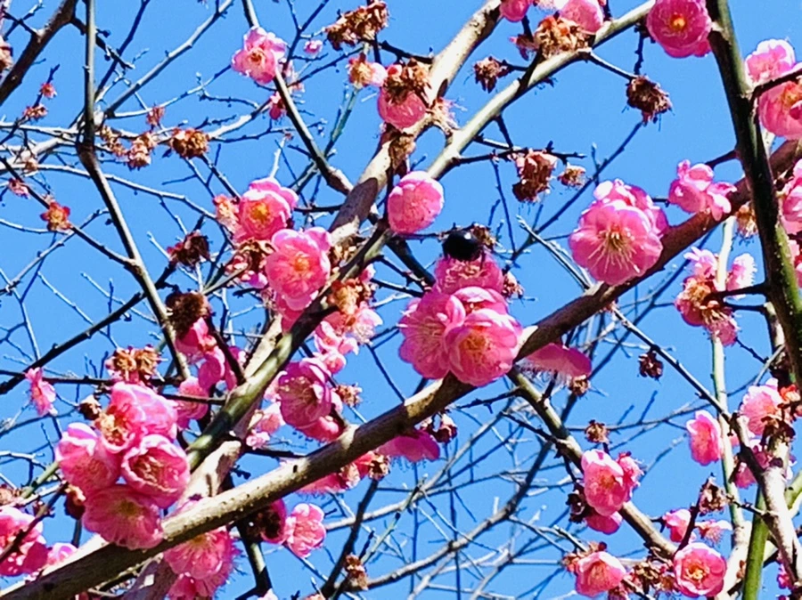 IMG_7818.jpg?type=w966