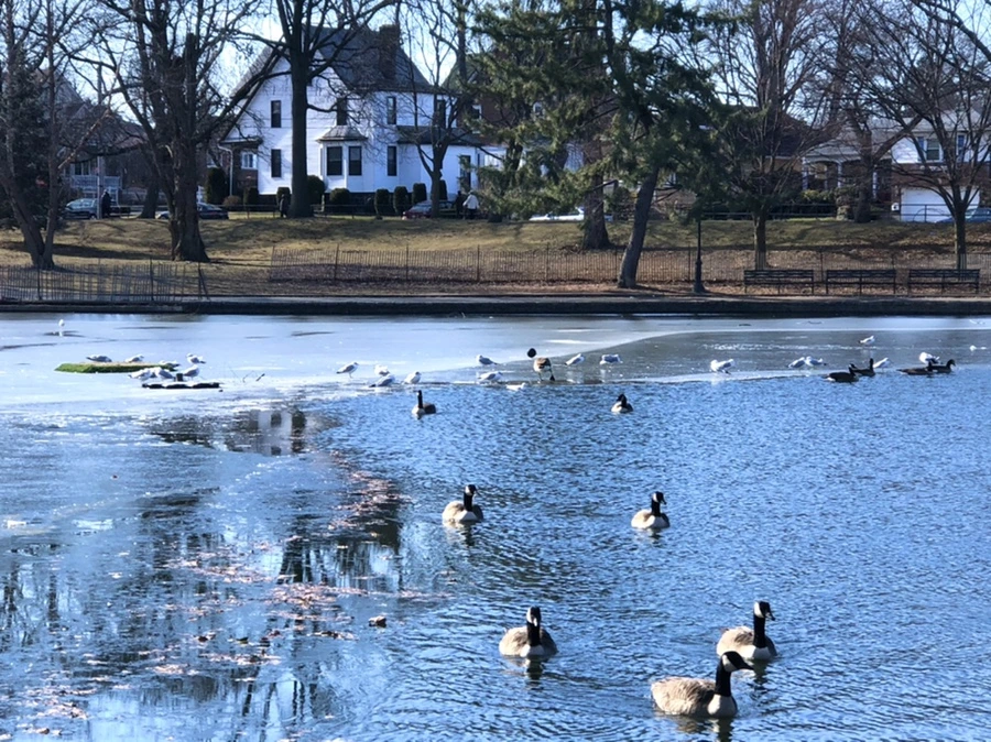 IMG_6575.jpg?type=w966