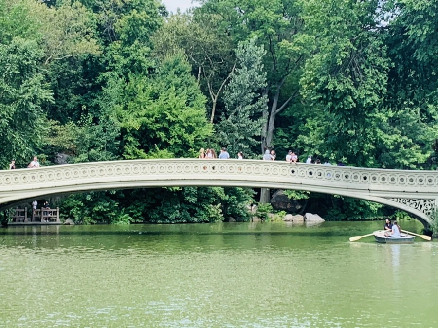 IMG_1592.jpg?type=w966