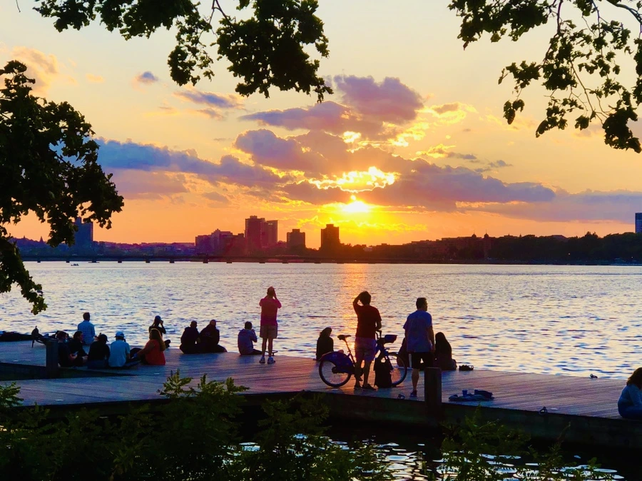 IMG_0881.jpg?type=w966