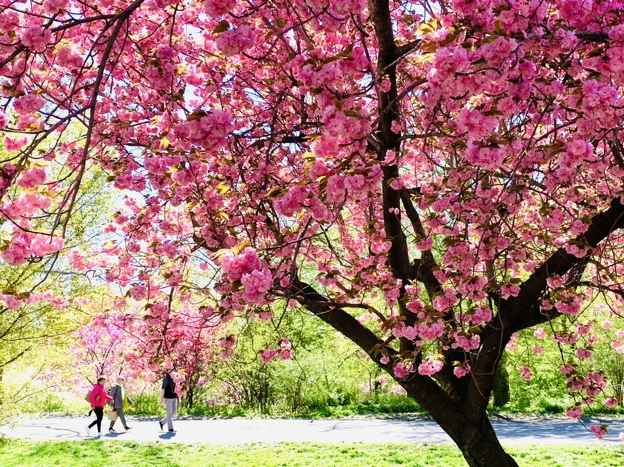 IMG_5989.jpg?type=w966