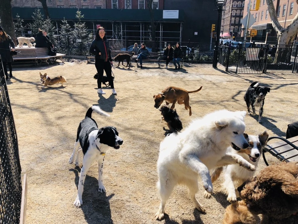 IMG_0654.jpg?type=w966