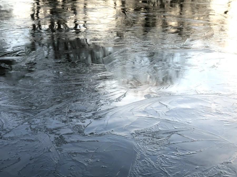 IMG_4632.jpg?type=w966