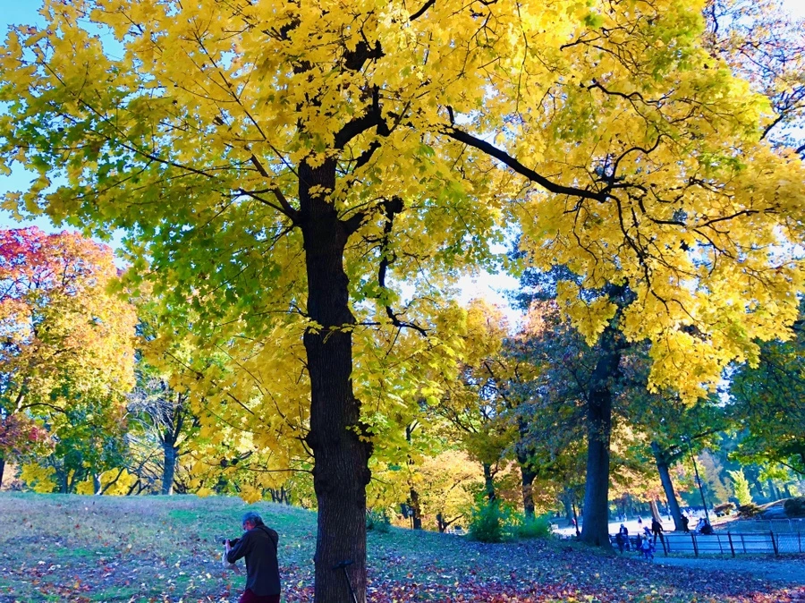 IMG_3623.jpg?type=w966