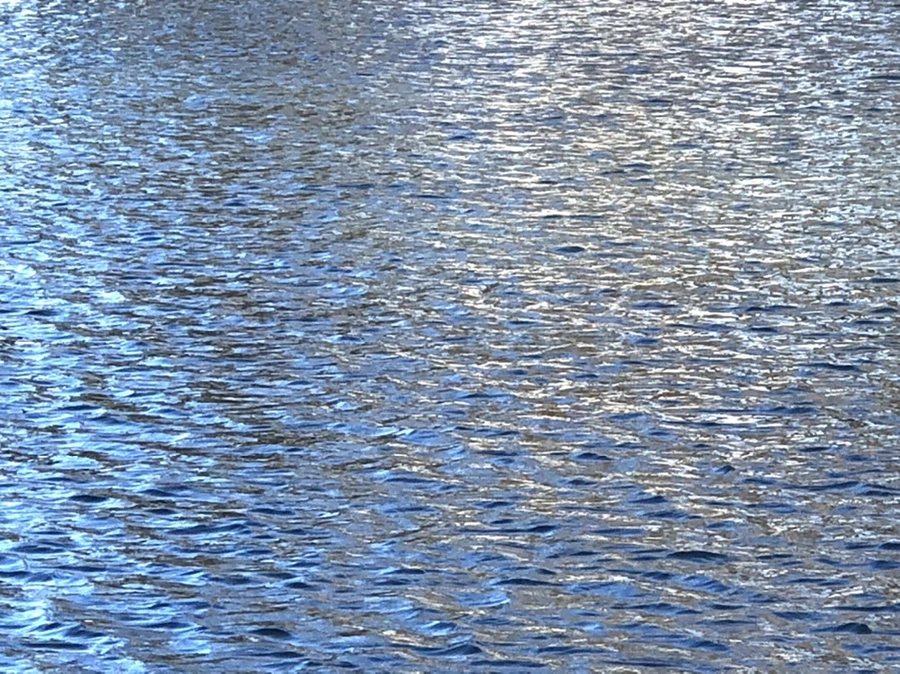 IMG_3841.jpg?type=w966