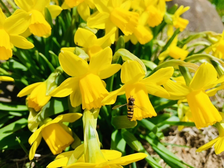 IMG_3272.jpg?type=w966