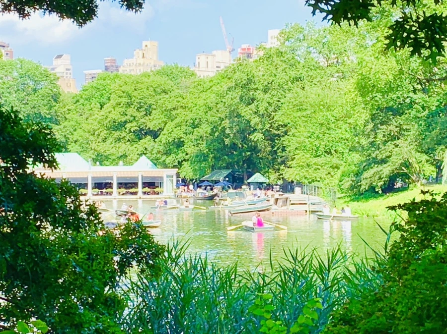 IMG_3496.jpg?type=w966