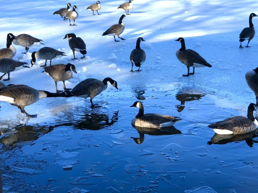 IMG_9931.jpg?type=w966