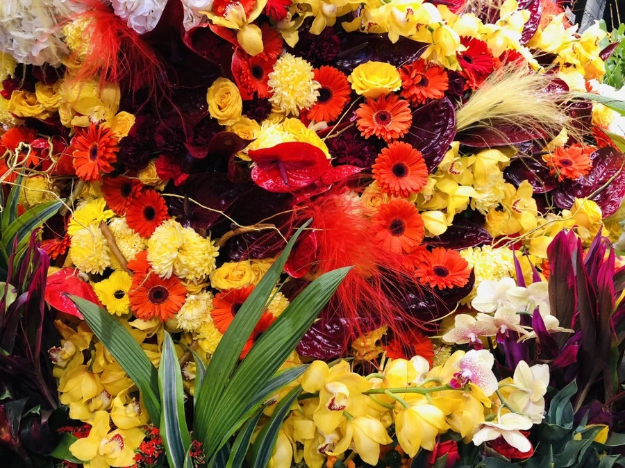 IMG_1817.jpg?type=w966