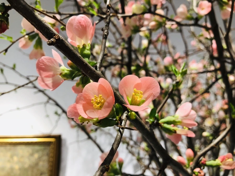 IMG_1118.jpg?type=w966