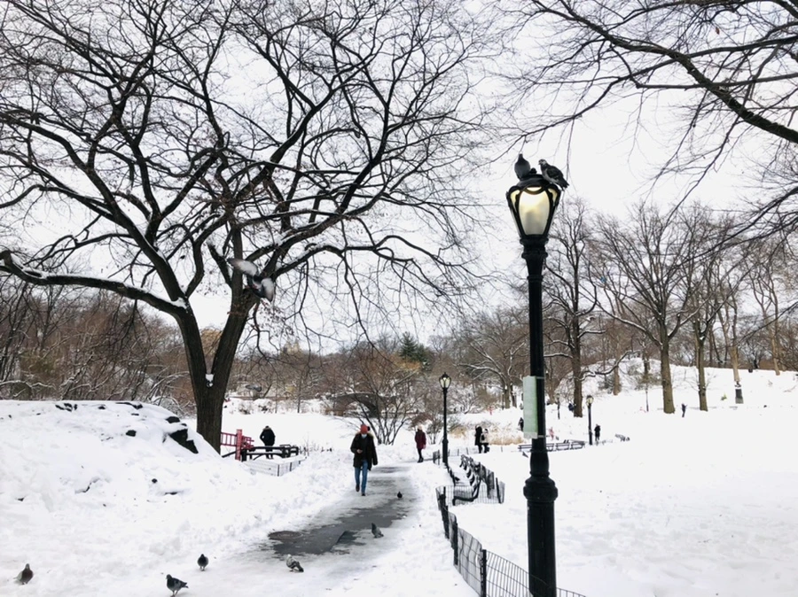 IMG_9115.jpg?type=w966