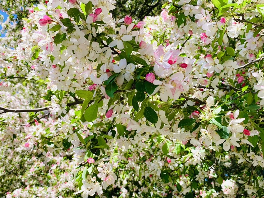 IMG_5732.jpg?type=w966