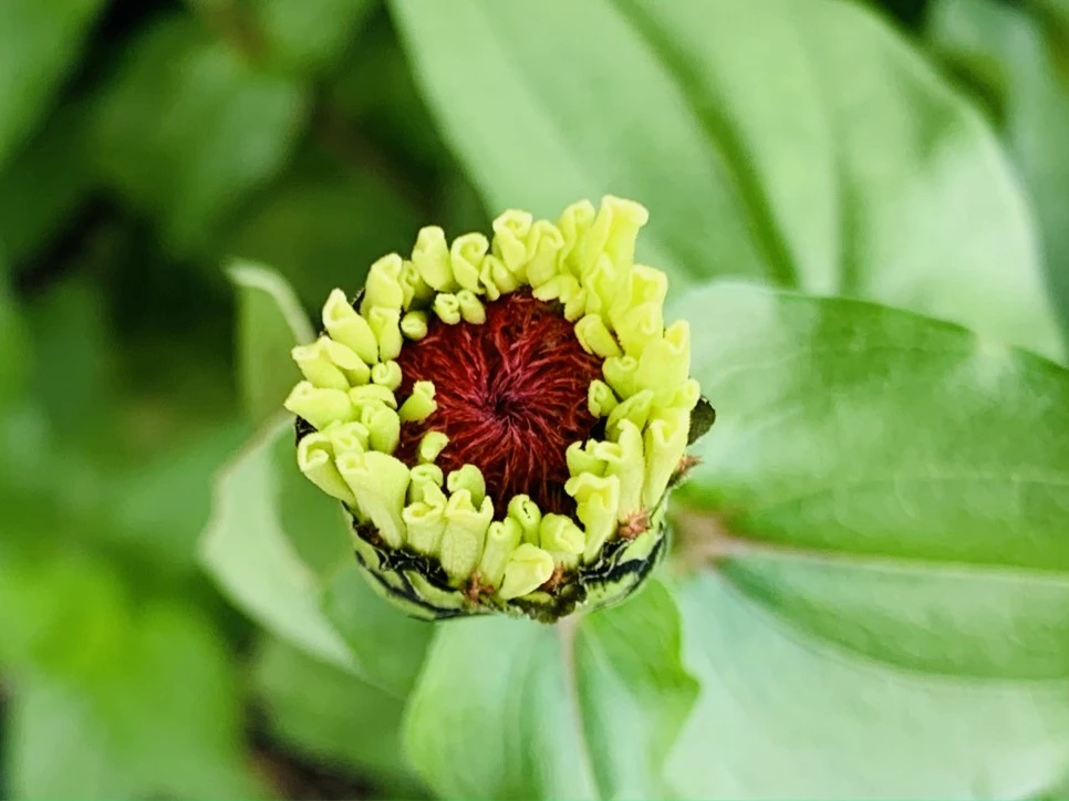 IMG_9370.jpg?type=w966