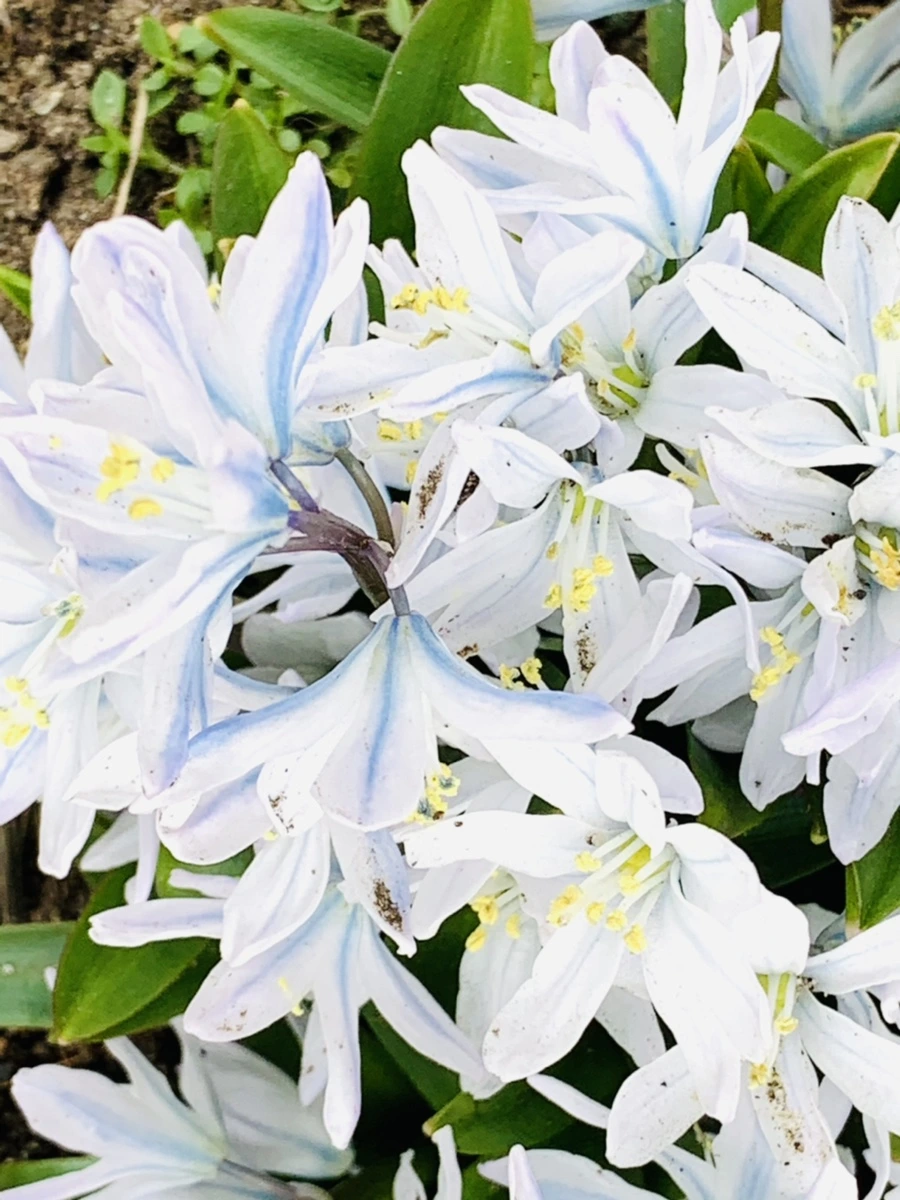 IMG_3522.jpg?type=w966