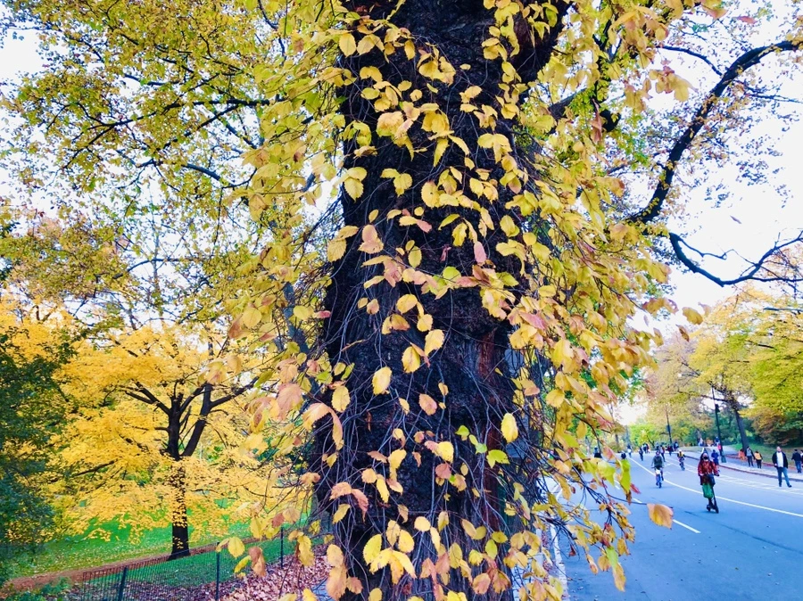 IMG_3685.jpg?type=w966