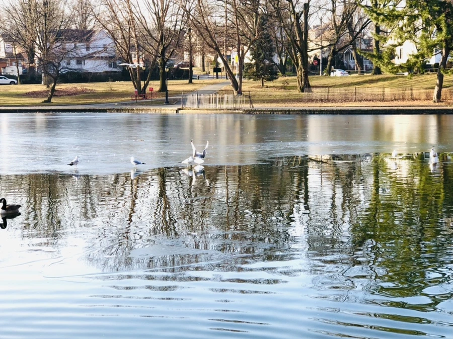 IMG_2668.jpg?type=w966