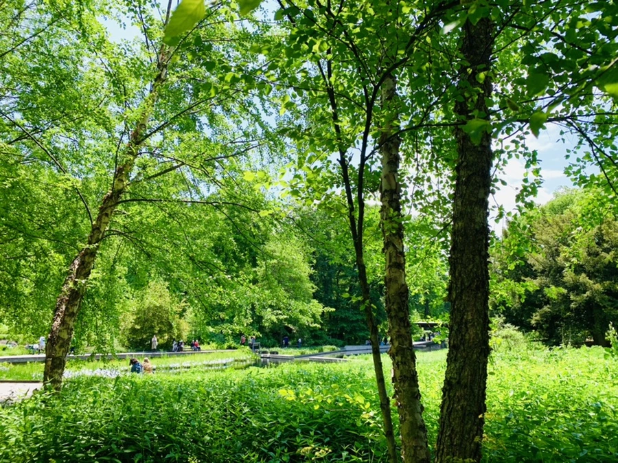 IMG_8438.jpg?type=w966