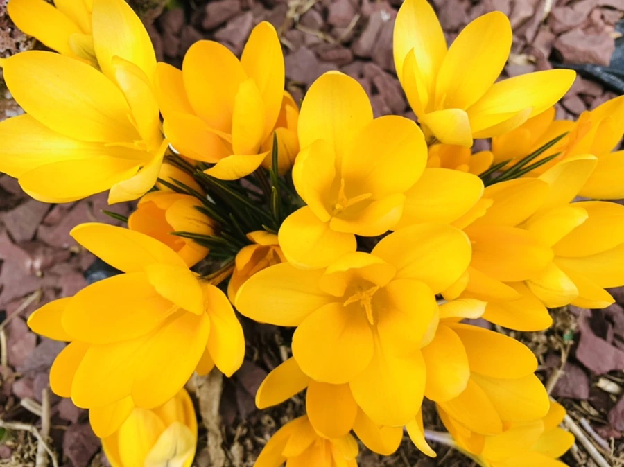 IMG_1088.jpg?type=w966