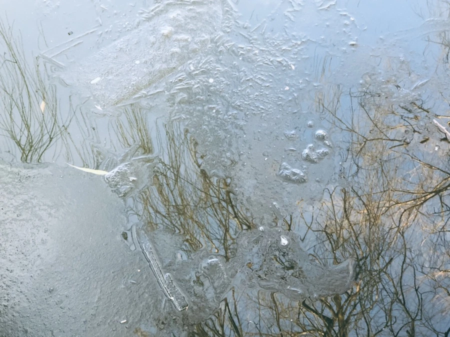 IMG_2542.jpg?type=w966