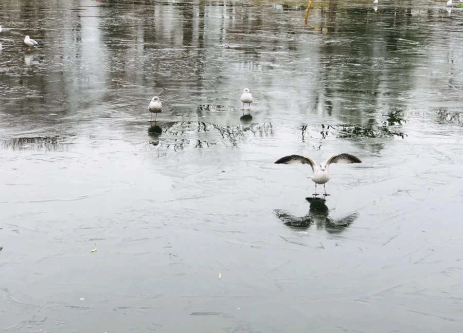 IMG_8980.jpg?type=w966