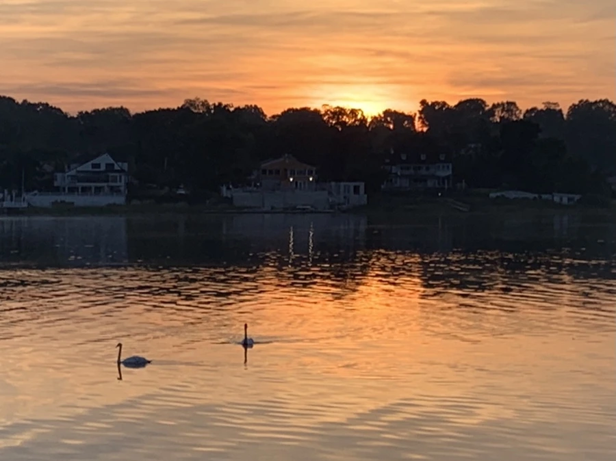 IMG_6815.jpg?type=w966