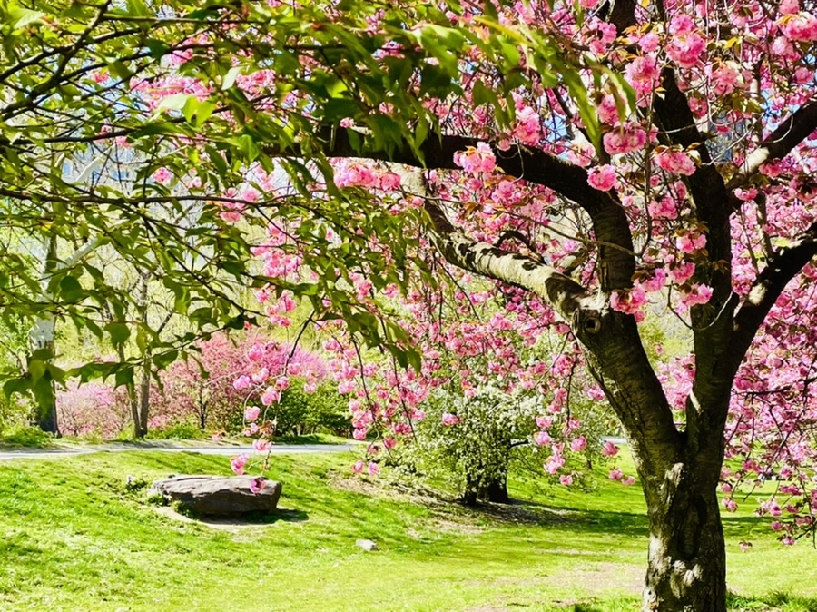 IMG_2757.jpg?type=w966